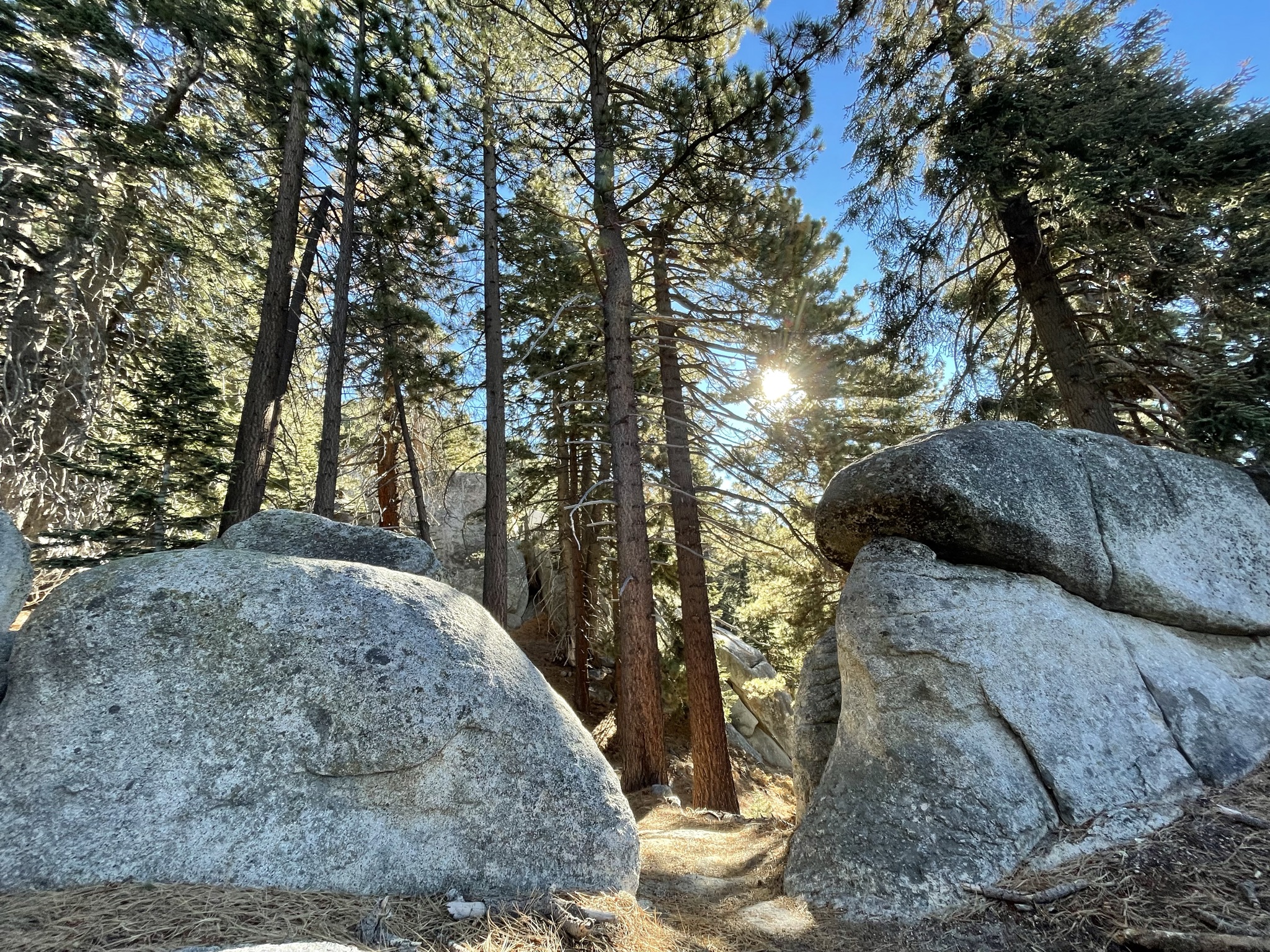 A Guide To The San Jacinto Wilderness In Southern California