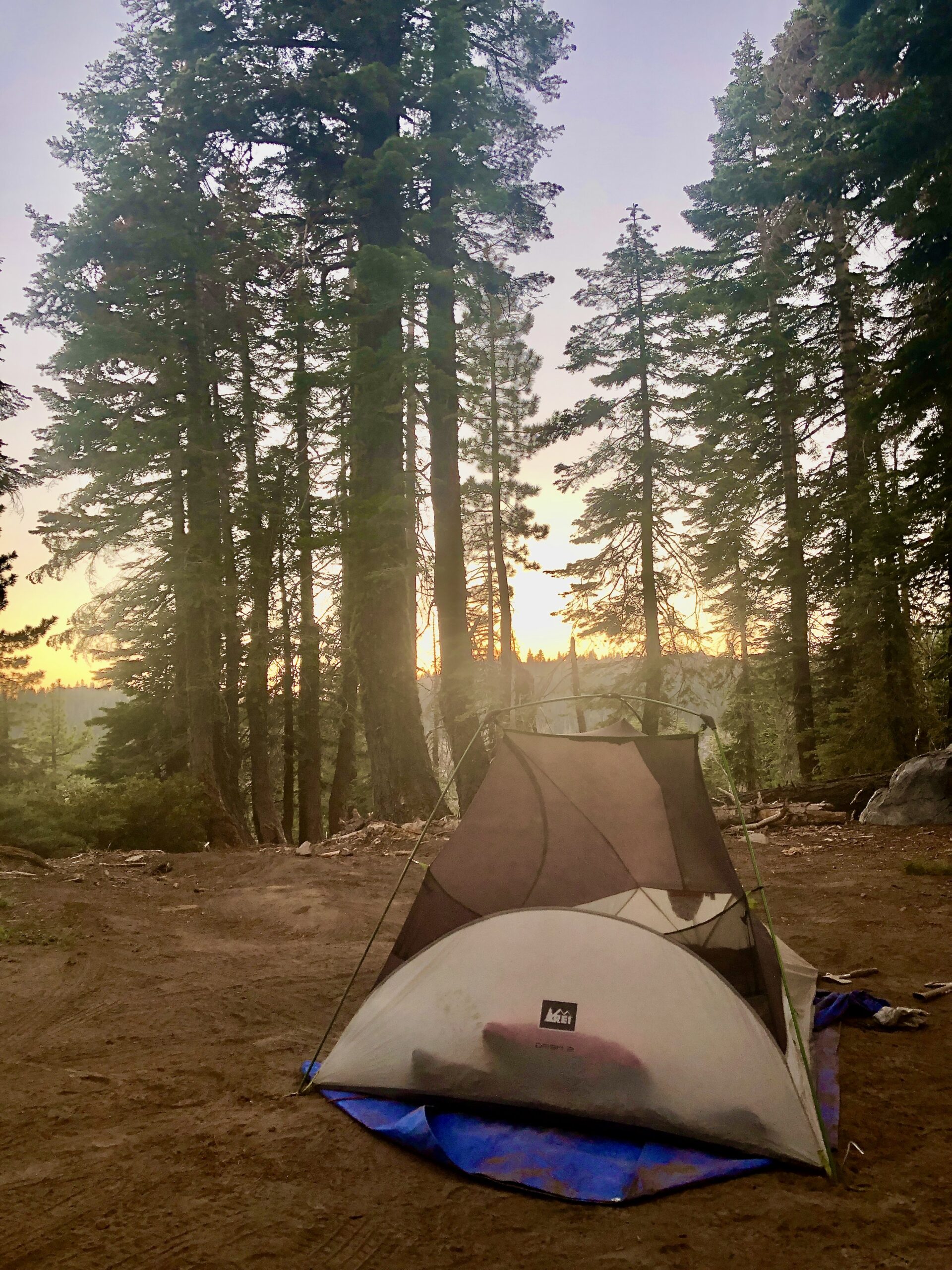 Tahoe National Forest