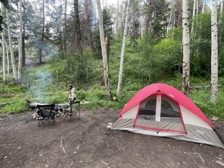 Dispersed Camping Basics