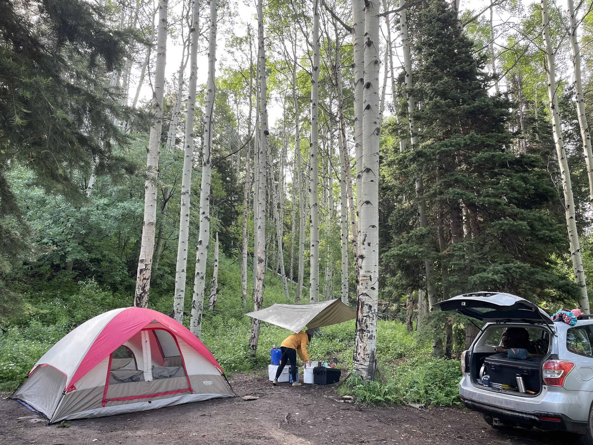 San Juan National Forest, Colorado