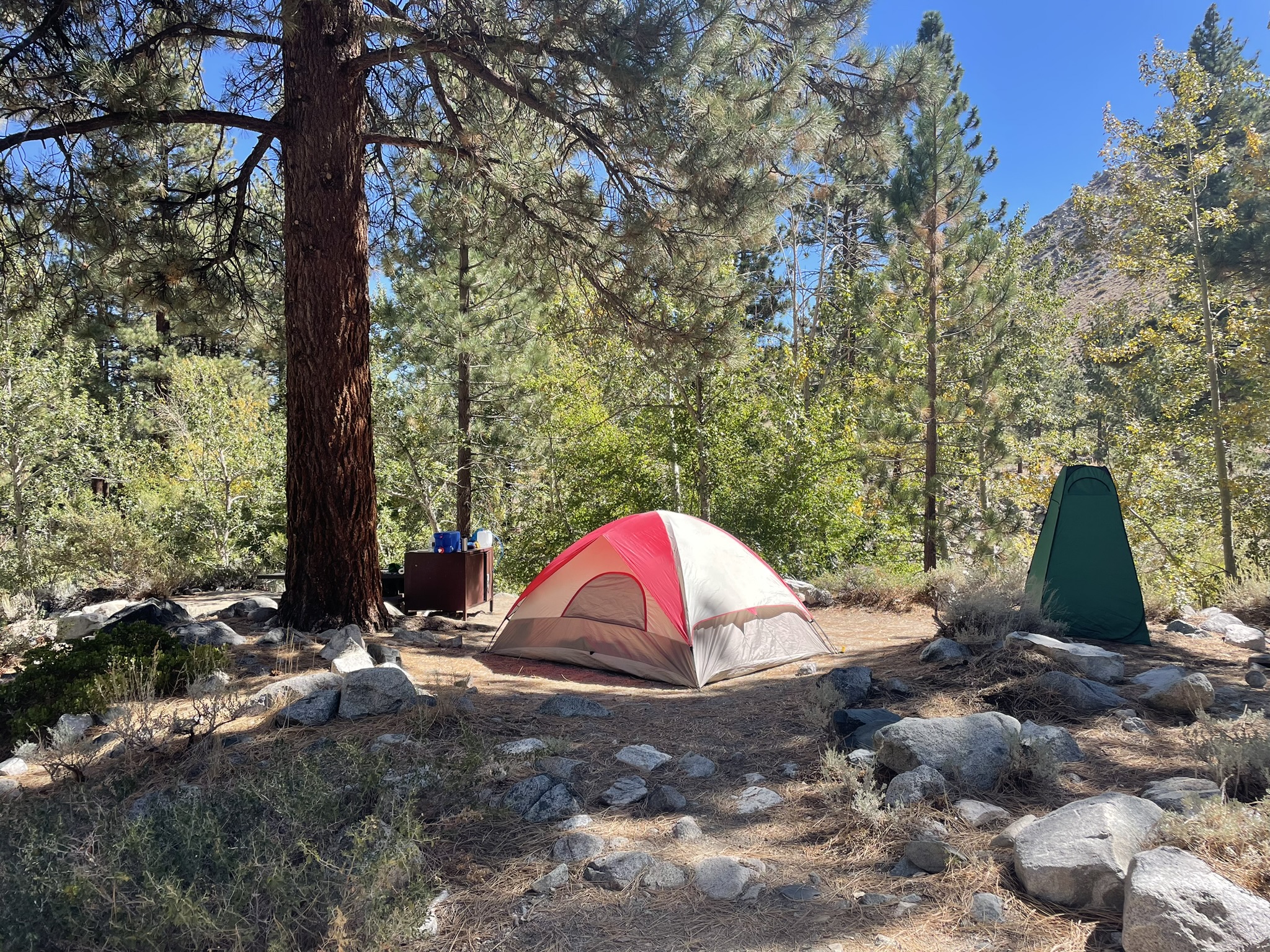 Eastern Sierras, CA