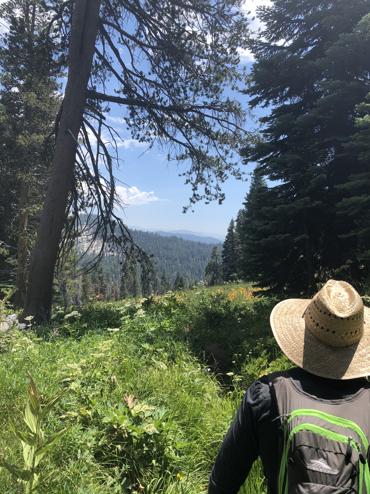 Jennie Lakes Wildernss