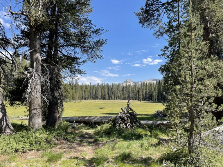 How To Camp In National Forests