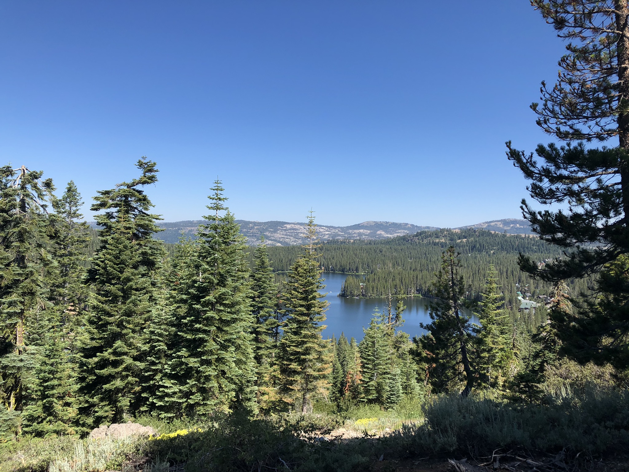 Tahoe National Forest
