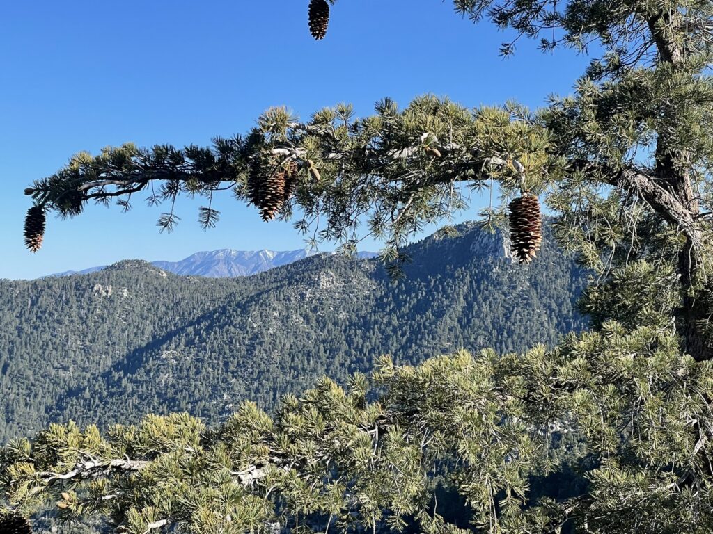 San Jacinto Wilderness, CA