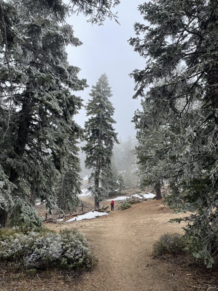San Jacinto Wilderness, CA