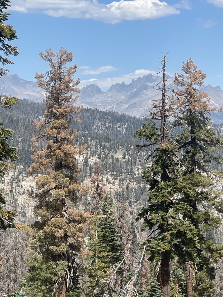 Camping Guide: Sierra National Forest