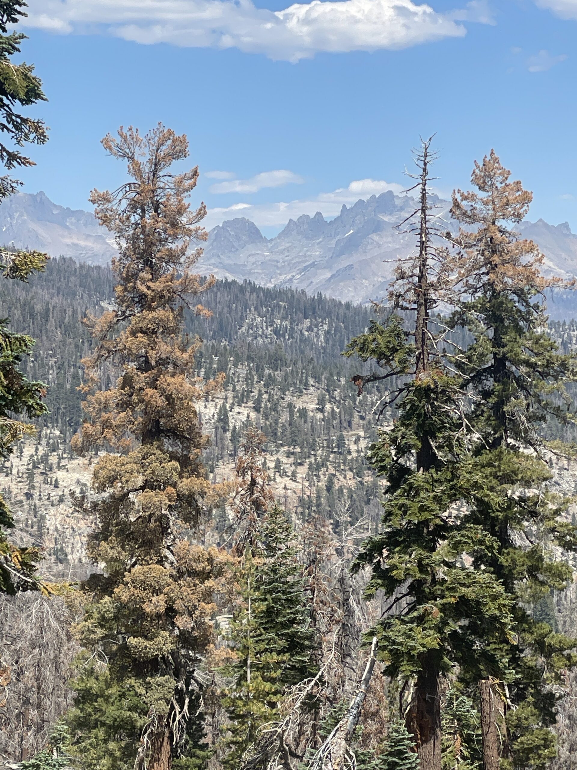 Camping Guide: Sierra National Forest