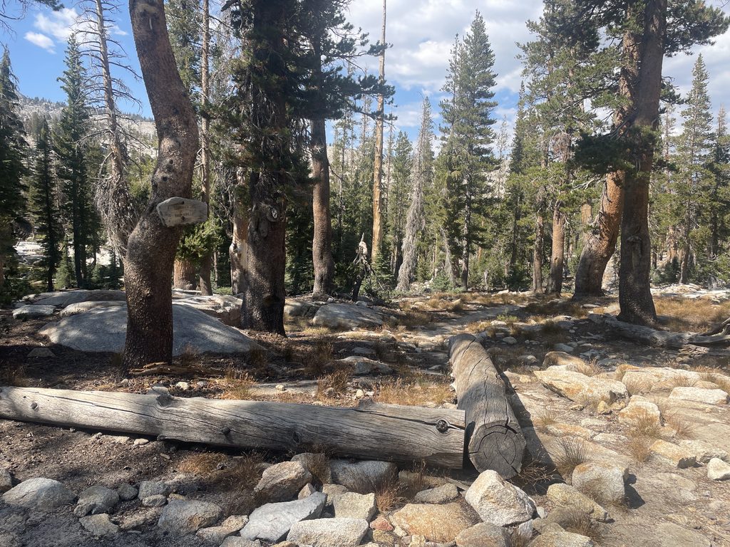 Sierra National Forest