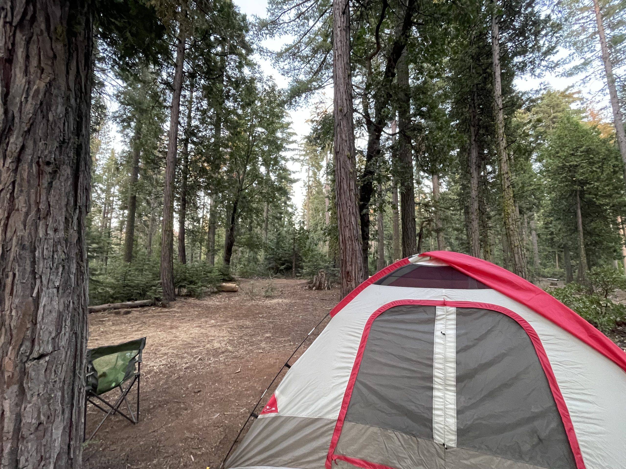 Sierra National Forest