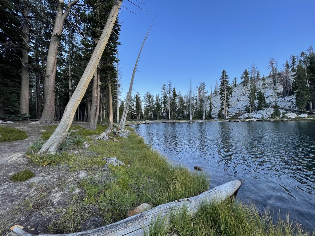 Sierra National Forest