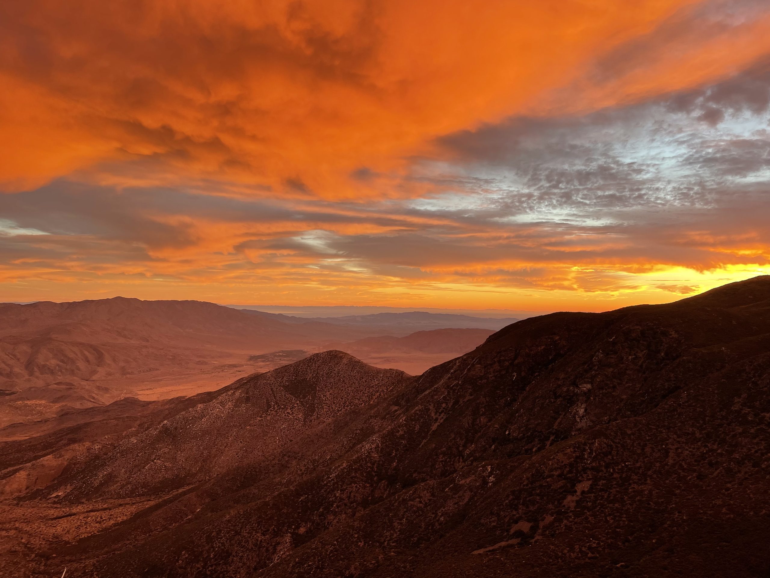 PCT - Laguna Mountains