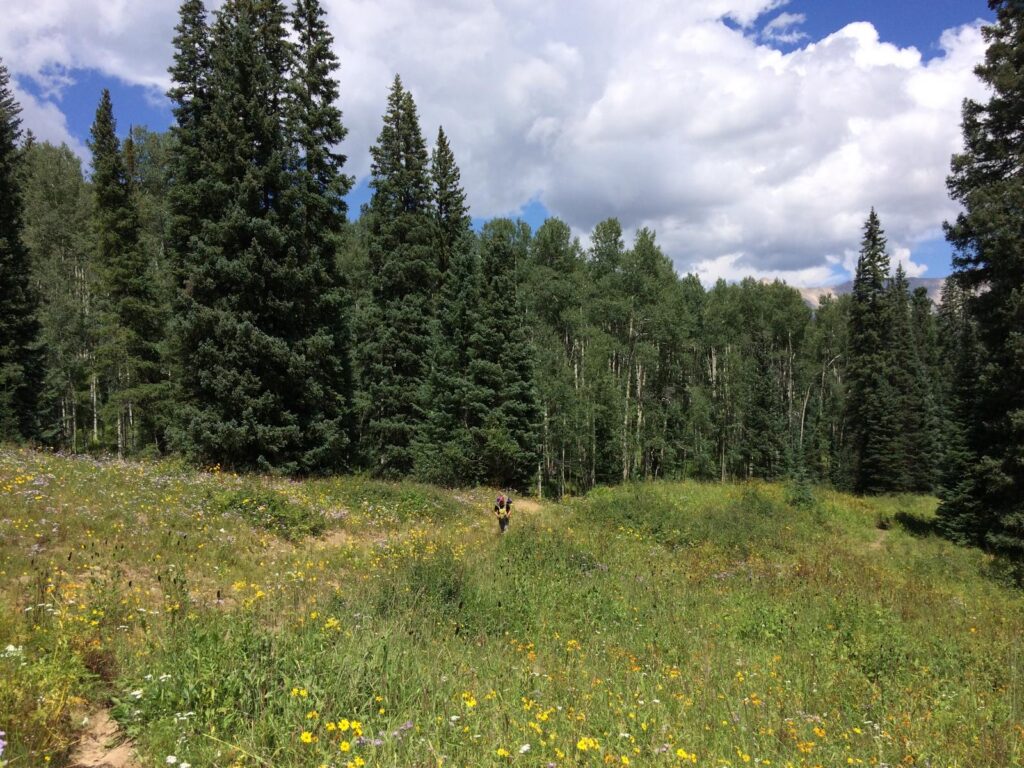 West Elk Wilderness