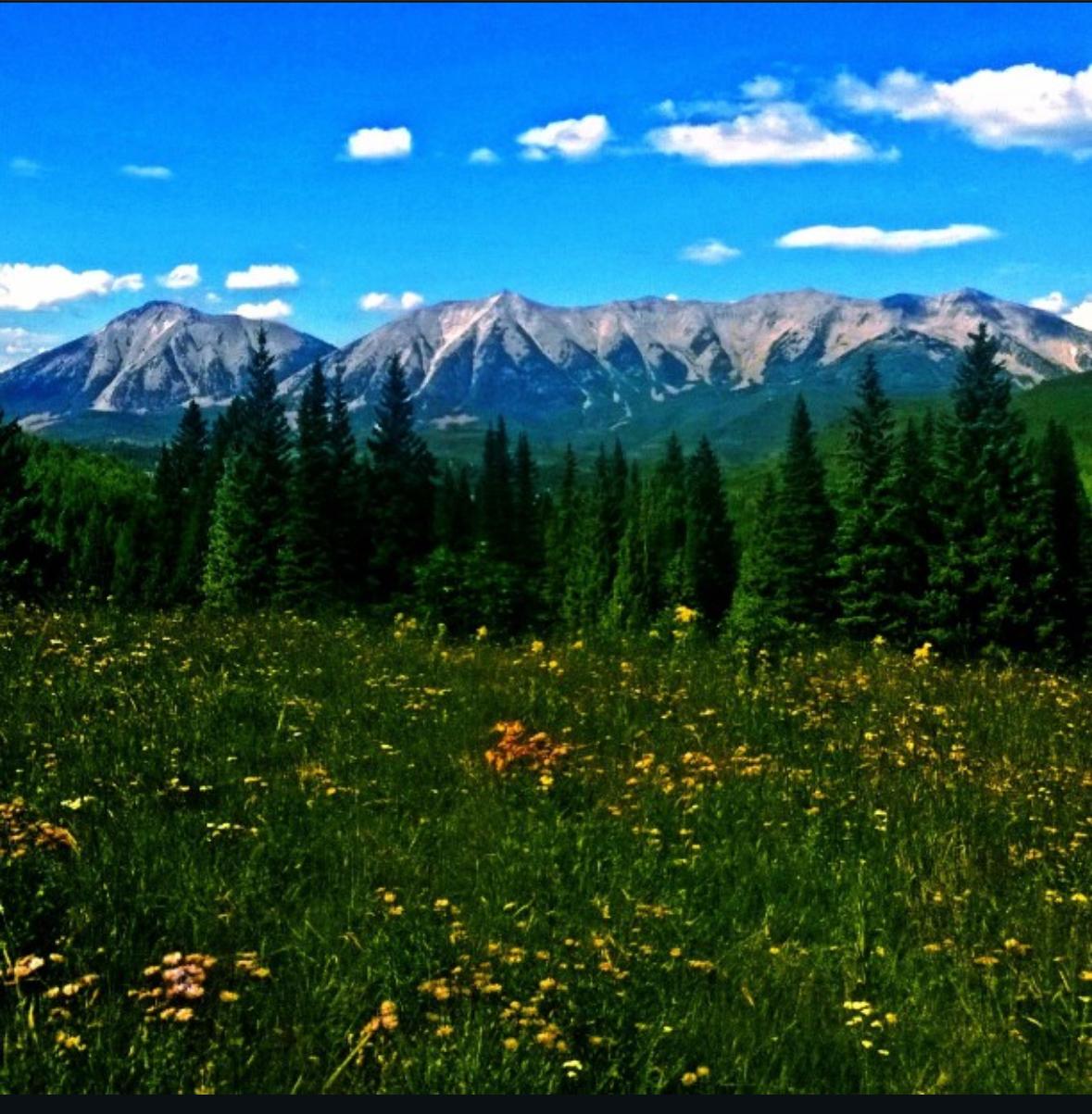West Elk Wilderness