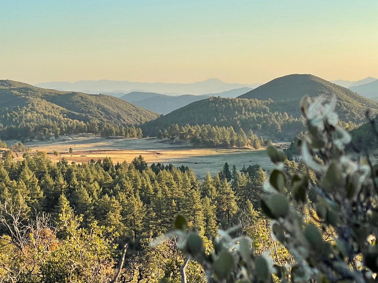 Cleveland National Forest, CA