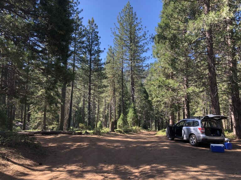 Dispersed car camping