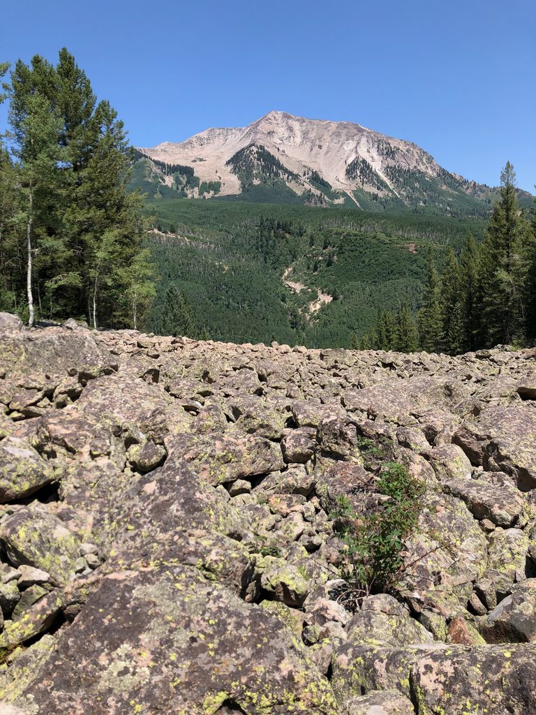 West Elk Wilderness, Colorado