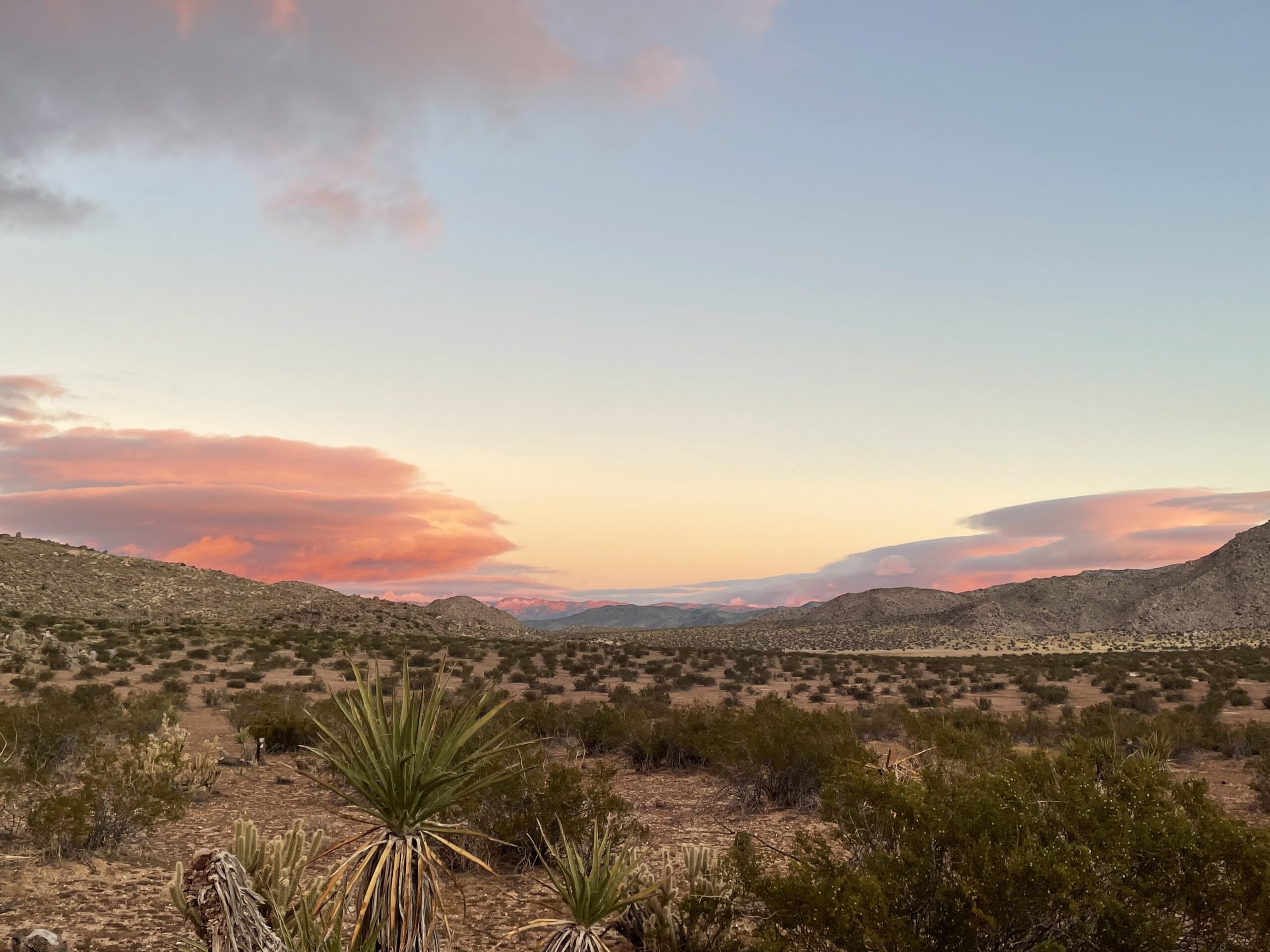 Camping Guide: Anza-Borrego Desert State Park